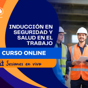 INDUCCIÓN EN SEGURIDAD Y SALUD EN EL TRABAJO