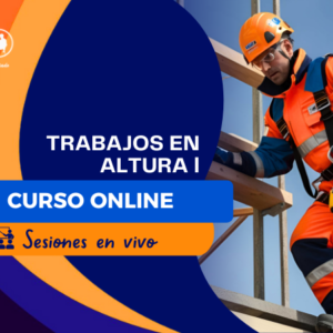 TRABAJOS EN ALTURA NIVEL I