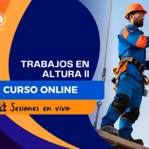 TRABAJOS EN ALTURA NIVEL II